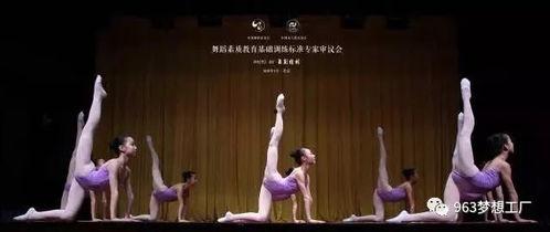 张登结彩成人舞蹈视频,动感韵律中的优雅演绎
