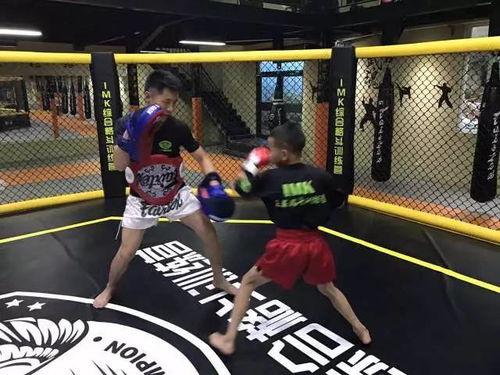 内蒙成人搏击飞镖视频