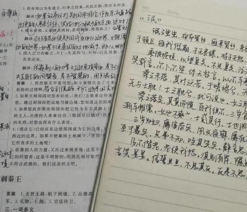 成人硬笔课堂视频教程,跟随视频学习硬笔书法技巧