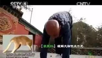 成人爬行转圈视频