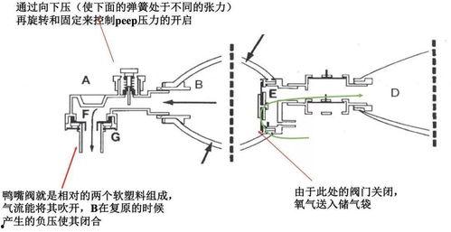 呼吸气囊操作视频成人,成人生存技能关键步骤解析