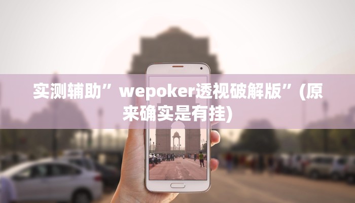 实测辅助”wepoker透视破解版”(原来确实是有挂)