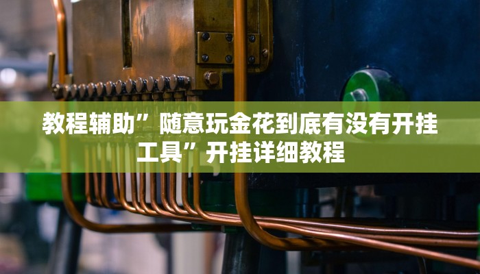 教程辅助”随意玩金花到底有没有开挂工具”开挂详细教程