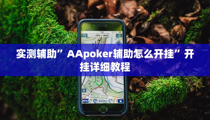 实测辅助”AApoker辅助怎么开挂”开挂详细教程