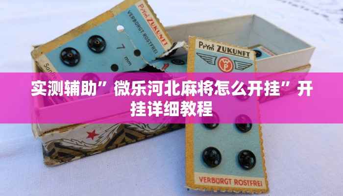 实测辅助”wepoker通用挂”(原来确实是有挂)