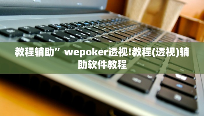 教程辅助”wepoker透视!教程(透视)辅助软件教程