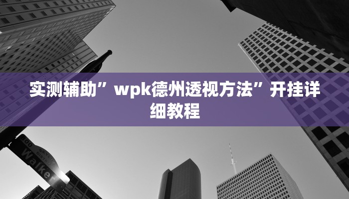 实测辅助”wpk德州透视方法”开挂详细教程