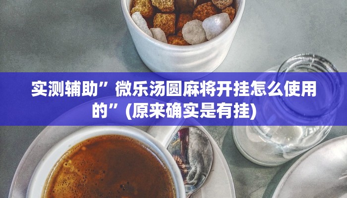 实测辅助”微乐汤圆麻将开挂怎么使用的”(原来确实是有挂)