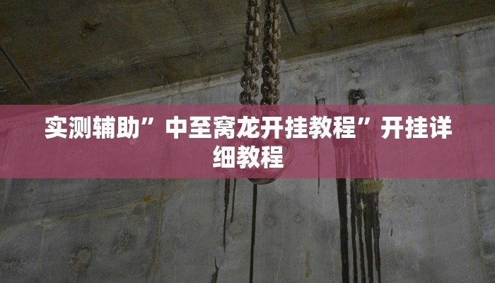 实测辅助”中至窝龙开挂教程”开挂详细教程