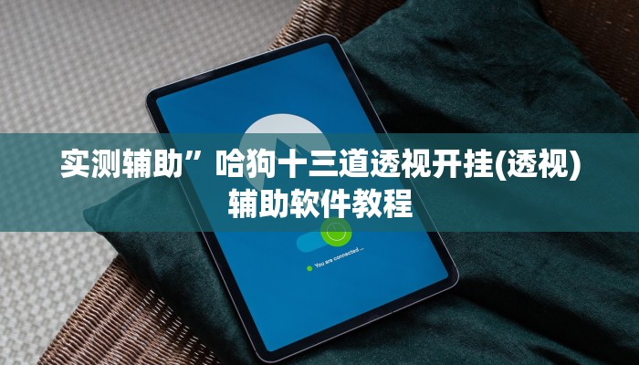 实测辅助”哈狗十三道透视开挂(透视)辅助软件教程