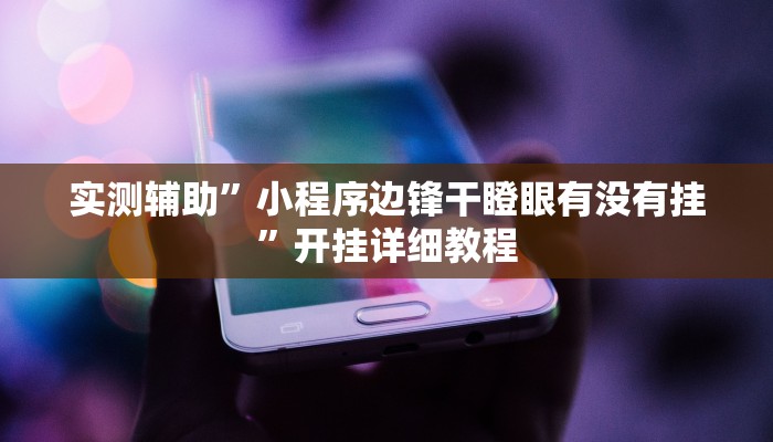 实测辅助”新人皇挂怎么安装”(原来确实是有挂)