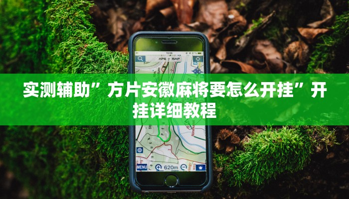 辅助神器“四季湖南麻将有挂吗可以开挂吗”其实确实有挂 