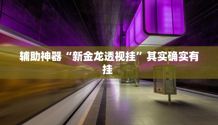 辅助神器“新金龙透视挂”其实确实有挂 