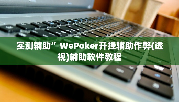 实测辅助”WePoker开挂辅助作弊(透视)辅助软件教程