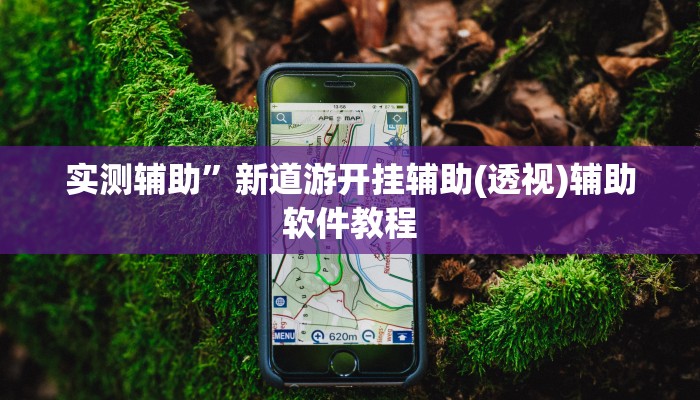 实测辅助”新道游开挂辅助(透视)辅助软件教程