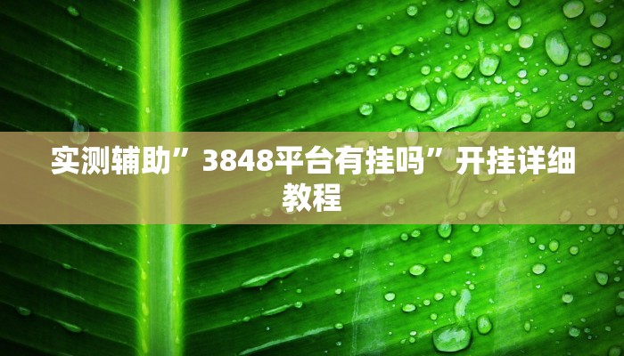实测辅助”3848平台有挂吗”开挂详细教程