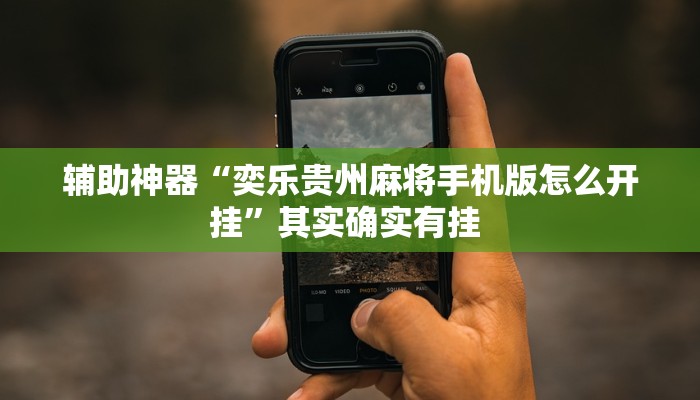 辅助神器“奕乐贵州麻将手机版怎么开挂”其实确实有挂 