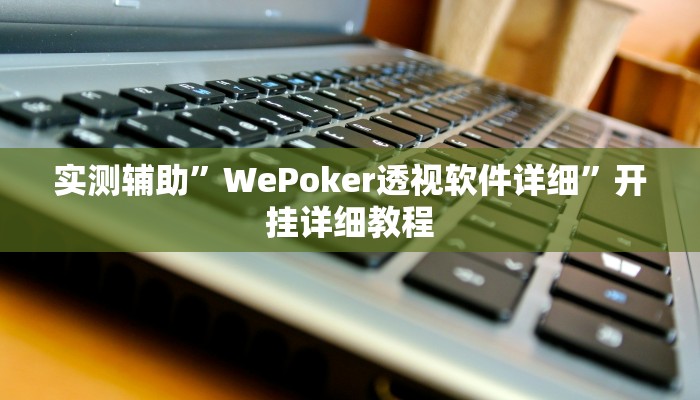 实测辅助”WePoker透视软件详细”开挂详细教程