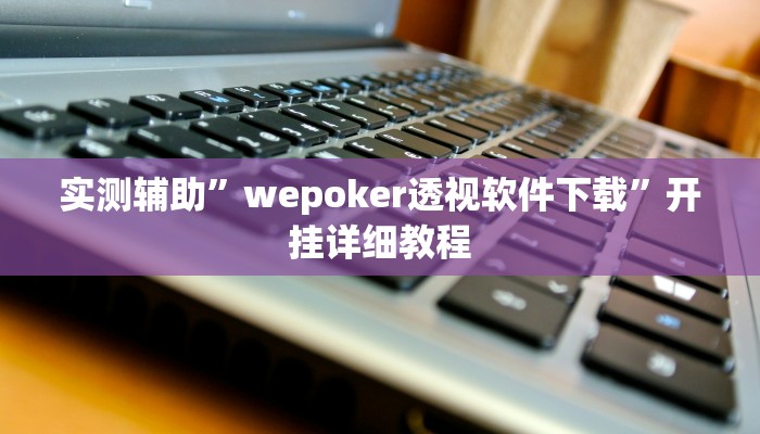 实测辅助”wepoker透视软件下载”开挂详细教程