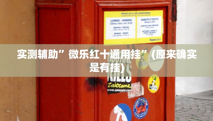 实测辅助”微乐红十通用挂”(原来确实是有挂)
