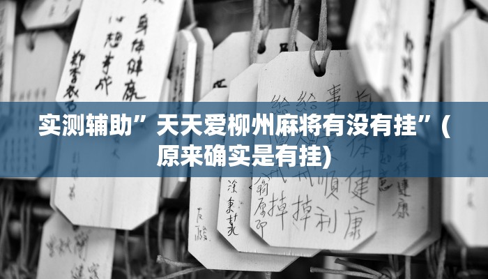 实测辅助”天天爱柳州麻将有没有挂”(原来确实是有挂)