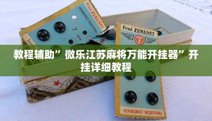 教程辅助”微乐江苏麻将万能开挂器”开挂详细教程