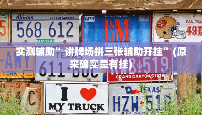 实测辅助”讲牌场拼三张辅助开挂”(原来确实是有挂)