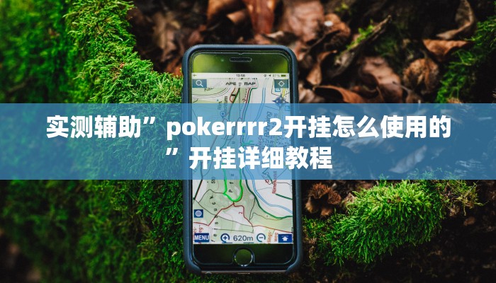 实测辅助”pokerrrr2开挂怎么使用的”开挂详细教程