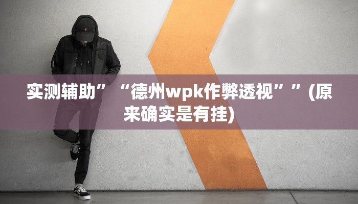 实测辅助”“德州wpk作弊透视””(原来确实是有挂)