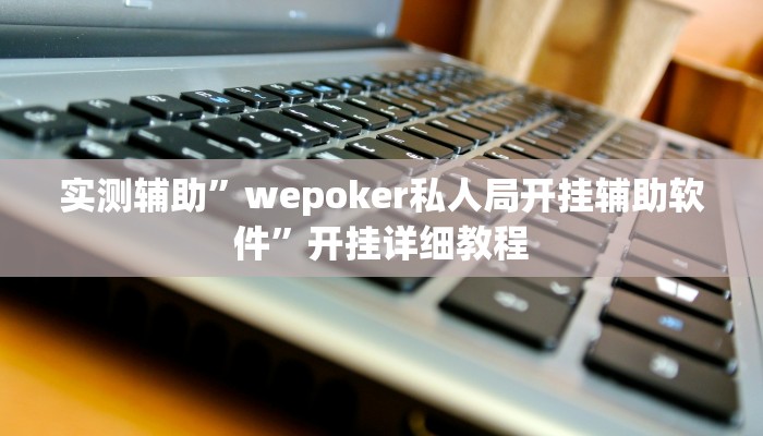 实测辅助”wepoker私人局开挂辅助软件”开挂详细教程