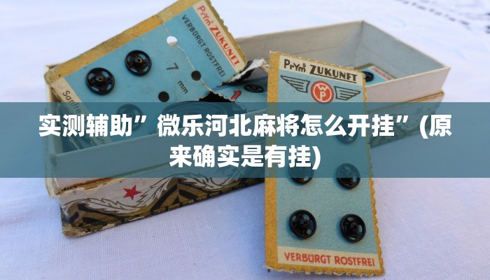 实测辅助”微乐河北麻将怎么开挂”(原来确实是有挂)