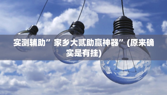 实测辅助”家乡大贰助赢神器”(原来确实是有挂)