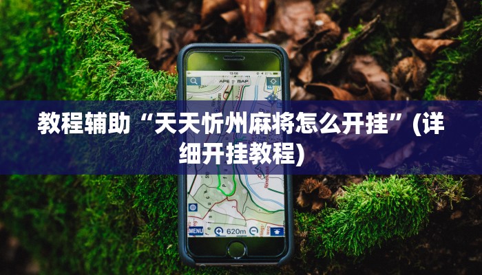 教程辅助“天天忻州麻将怎么开挂”(详细开挂教程)