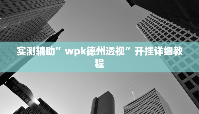 实测辅助”wpk德州透视”开挂详细教程