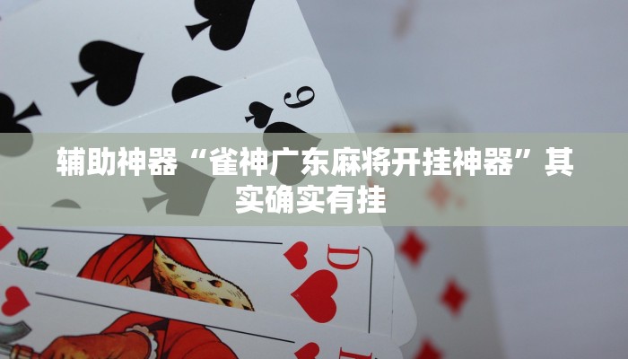 辅助神器“雀神广东麻将开挂神器”其实确实有挂 