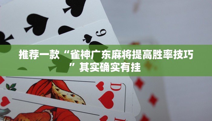 推荐一款“雀神广东麻将提高胜率技巧”其实确实有挂 