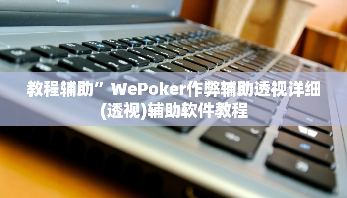 教程辅助”WePoker作弊辅助透视详细(透视)辅助软件教程