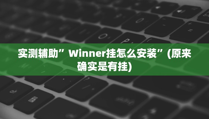 实测辅助”罗松十三张有软件吗透视辅助脚本”开挂详细教程