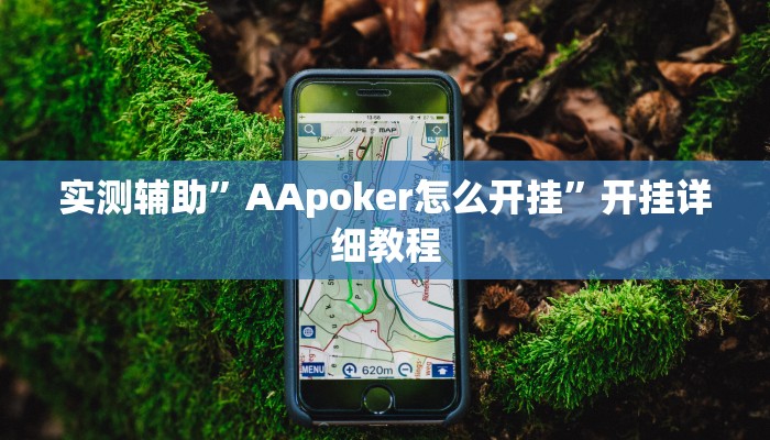 辅助神器“东方十三道辅助器”其实确实有挂 