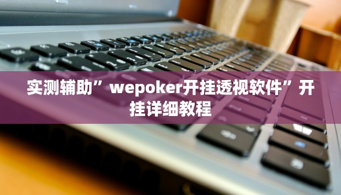 实测辅助”wepoker开挂透视软件”开挂详细教程