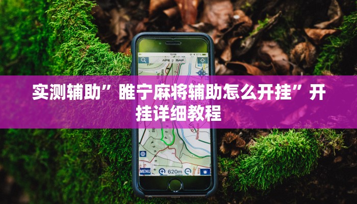 实测辅助”睢宁麻将辅助怎么开挂”开挂详细教程