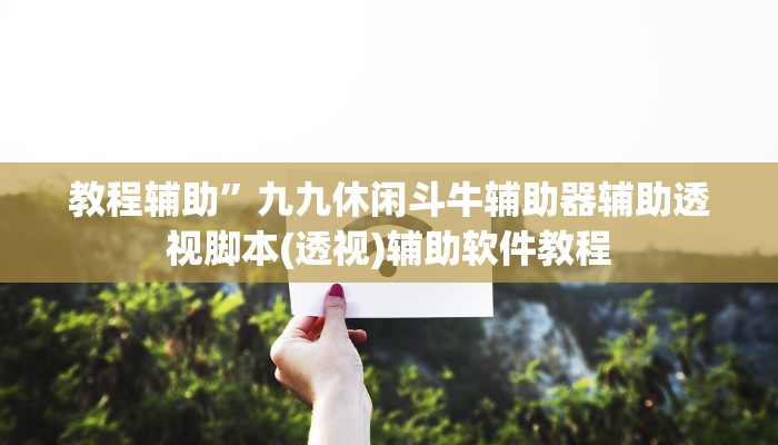 教程辅助”九九休闲斗牛辅助器辅助透视脚本(透视)辅助软件教程