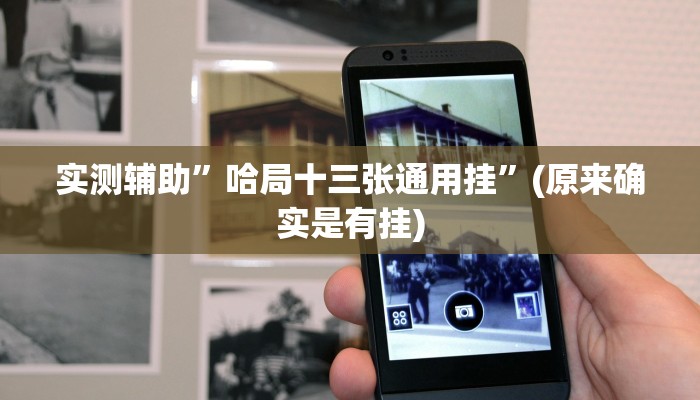 实测辅助”哈局十三张通用挂”(原来确实是有挂)