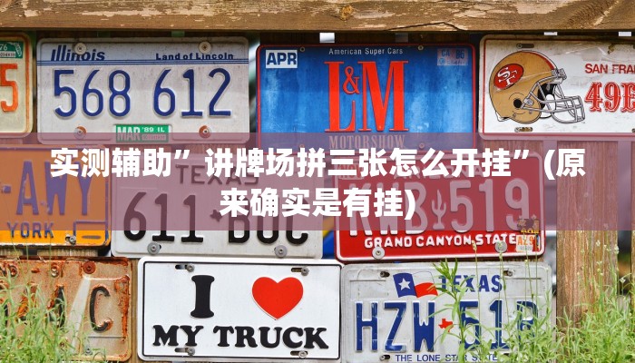 实测辅助”讲牌场拼三张怎么开挂”(原来确实是有挂)