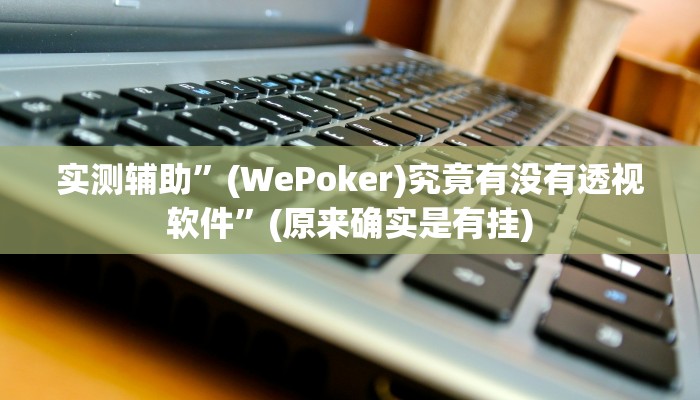 实测辅助”(WePoker)究竟有没有透视软件”(原来确实是有挂)