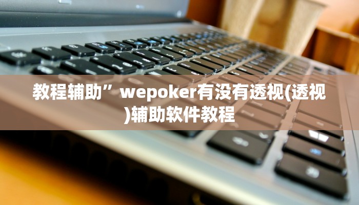 教程辅助”wepoker有没有透视(透视)辅助软件教程