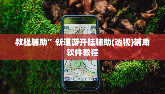 教程辅助”新道游开挂辅助(透视)辅助软件教程