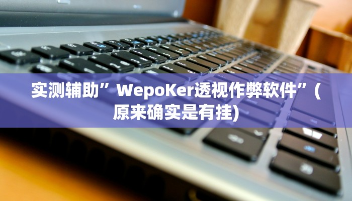 实测辅助”WepoKer透视作弊软件”(原来确实是有挂)