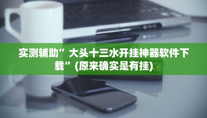 实测辅助”大头十三水开挂神器软件下载”(原来确实是有挂)