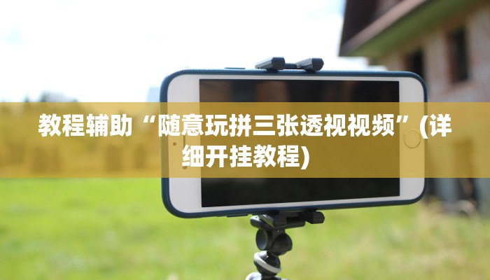 教程辅助“随意玩拼三张透视视频”(详细开挂教程)